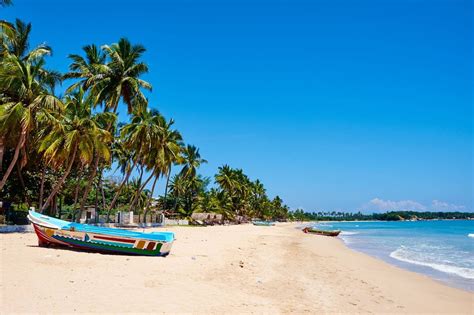 Urlaub In Sri Lanka 9 Gründe Warum Man Jetzt Hinreisen Sollte