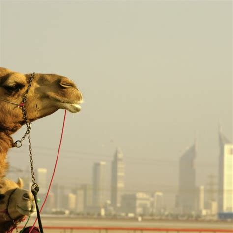 What To Wear On The Beach In Dubai Usa Today