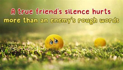 30 Best Friendship Hurt Quotes A True Friends Silence Hurts Boom Sumo