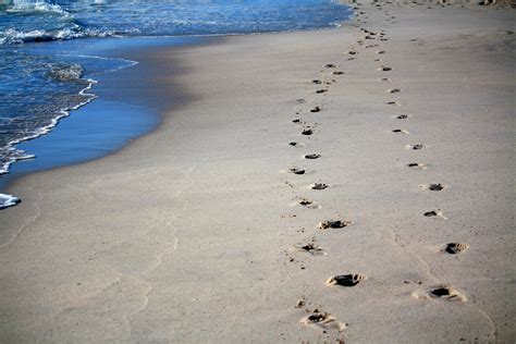 ✓ free for commercial use ✓ high quality images. Footprints, Sand, Ocean, Sea, beach, water free image | Peakpx