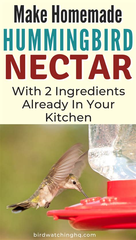 Want To Know How To Make Hummingbird Nectar Its Super Easy All You