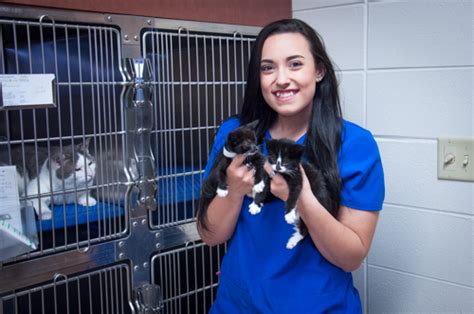 Meet Our Veterinary Assistants Grady Veterinary Hospital Grady