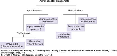 Adrenoceptor Blockers Katzung And Trevors Pharmacology Examination