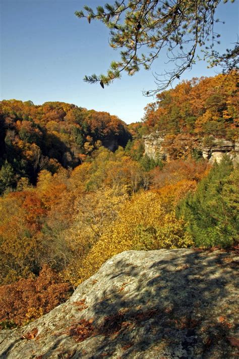 * hemlock bridge trail, 1 mile long, with a trailhead off the parking lot by the state park cabins and dining lodge (which. Conkle's Hollow State Nature Preserve at Hocking Hills ...