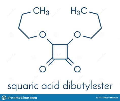 Squaric Acid Dibutyl Ester Drug Molecule 3d Rendering Atoms Are