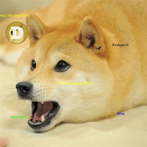 You can take any video, trim the best part, combine with other videos, add soundtrack. dog: Doge Meme Original Video