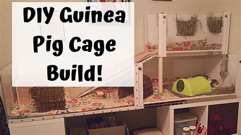 How To Build A Diy Guinea Pig Cage Youtube