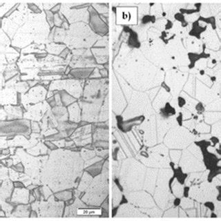 Microstructure Of The Entire Alloyed Zone Of Sintered Austenitic