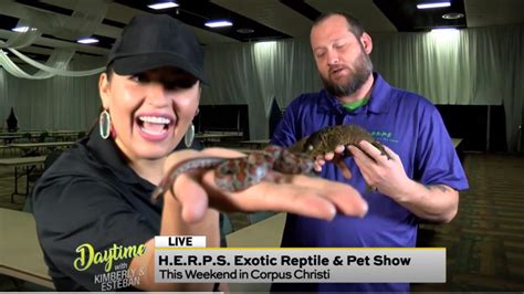 Exotic Reptile And Pet Show Watch Daytime
