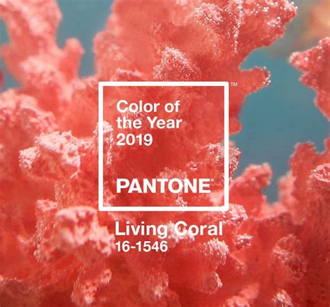 Color Of The Year Pantone Living Coral Pantone Espa A
