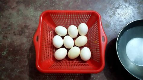 Maybe you would like to learn more about one of these? Murgi ka anda check karne ka tarika | Egg candling egg test - YouTube