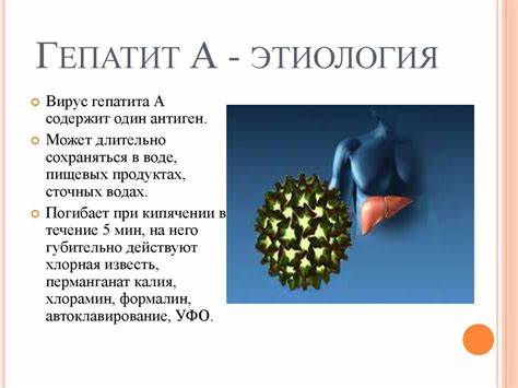 Вирусные гепатиты стол диета Вирусные гепатиты - презентация онлайн Вирусные гепатиты - презентация онлайн Вирусные гепатиты стол диета