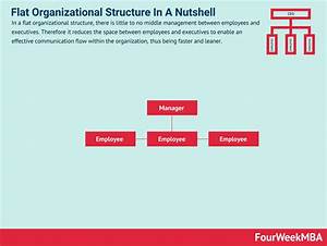 Flat Organizational Structure In A Nutshell Fourweekmba