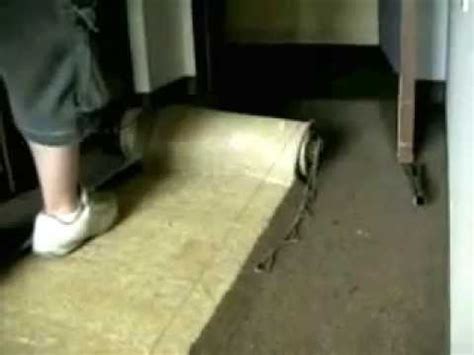 The pad extends the life of the carpet. how to remove glued down carpet with the best machine ...