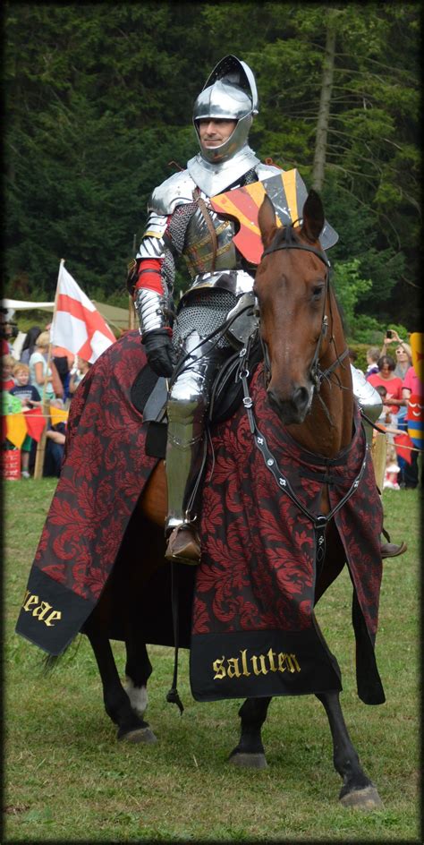 Knight Show Set 201 Free Stock Photo Public Domain Pictures