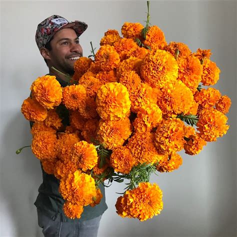 Must Have Marigolds Flower Magazine