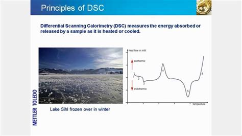 Check spelling or type a new query. Differential Scanning Calorimetry (DSC) - online training ...