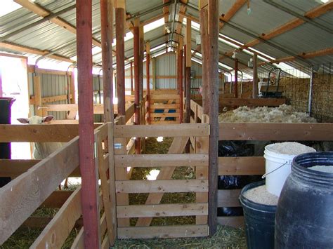 Eco Friendly Barns A Sanctuary For Sustainable Farming