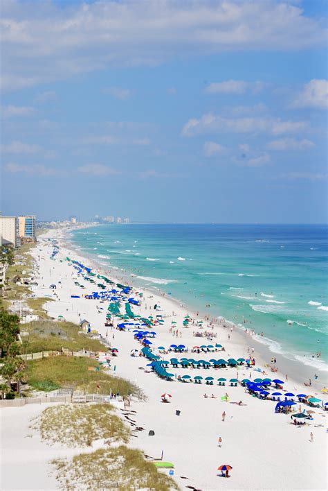 Are Dogs Allowed On Destin Florida Beaches