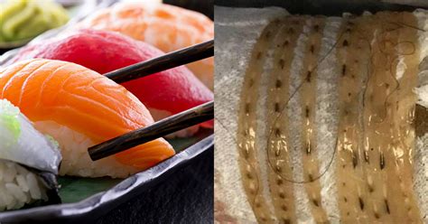 Man Finds Five Foot Tapeworm In Body Likely Caused By Sushi Thrillist