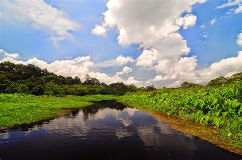 Danau rawa terletak di pandarincang, serang. 10 Tempat Wisata di Banten yang Wajib Dikunjungi Tahun ...