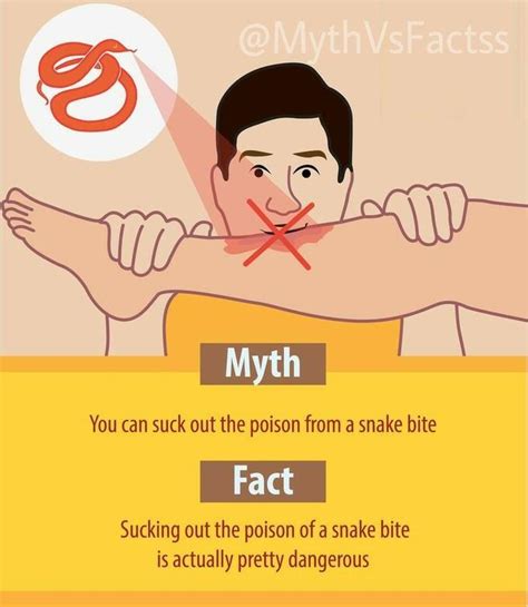 Myth You Can Suck Out The Venom From A Snake Bite Know Your Meme