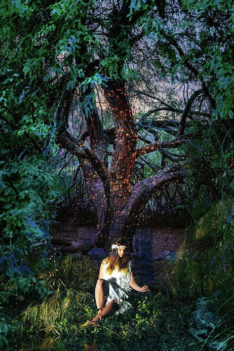 Faery Forest 3 Digital Art By Lisa Yount Fine Art America