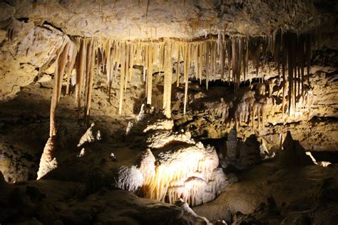 Victoria Fossil Cave Site Hours And Entry Prices Naracoorte Australia