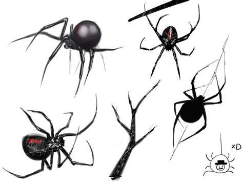 Free Black Widow Spider Art Download Free Black Widow Spider Art Png