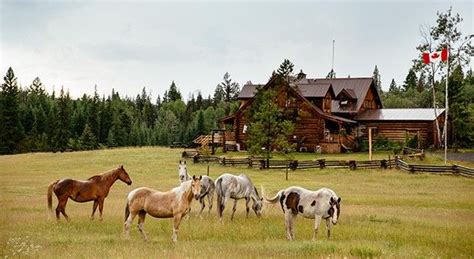 Pin On Canada Horseback Riding