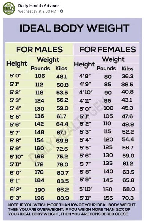 The Ideal Body Weight Chart For Males And Females With Numbers In Each Section On It