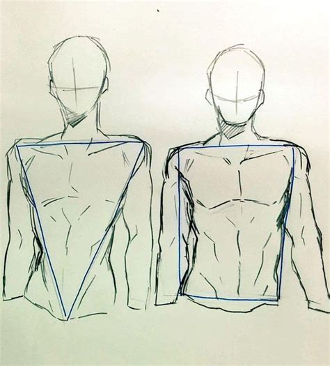 How To Draw The Torso Free Worksheet And Tutorial In 2021 Sketch Book