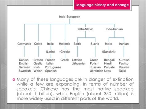 Chapter 17 Language History And Change
