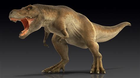 3d Model Tyrannosaurus Rex Roaring Animal Turbosquid 1478313