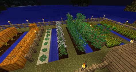 Once downloaded, put these files into a folder so you can keep track of them during the installation process. Images - Psychedelicraft - Mods - Projects - Minecraft ...