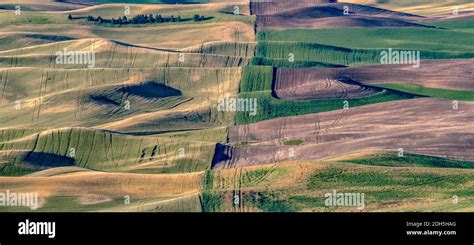 Magical Wheat Farm Fields In Palouse Washington Stock Photo Alamy