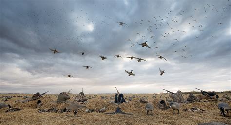 46 Free Waterfowl Hunting Wallpaper