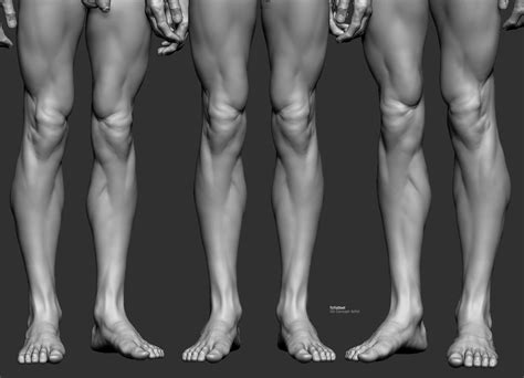 Pin By Alexandre Dumillard On Anatomy Posing Men Anatomy Sculpture