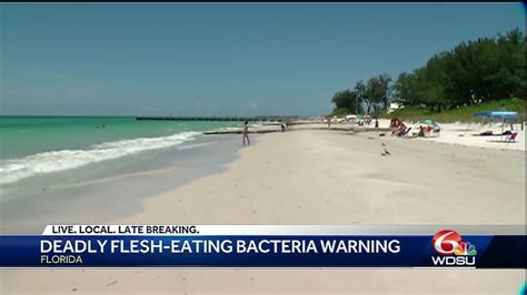 Florida Beachgoers Warned About Flesh Eating Bacteria Youtube