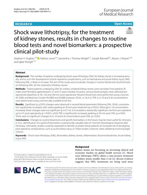 Pdf Shock Wave Lithotripsy For The Treatment Of Kidney Stones