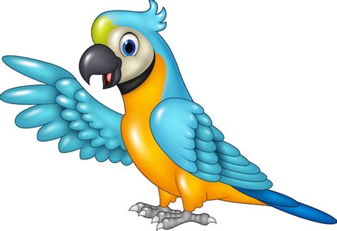 Macaw Parrot Vectors Photos And Psd Files Free Download