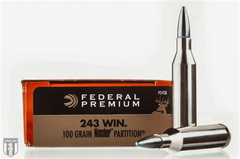 The Best 243 Ammo For Target Shooting The Daily Bell