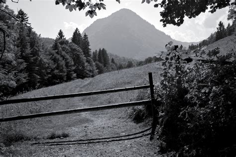 Mountain Pastures Spring2life