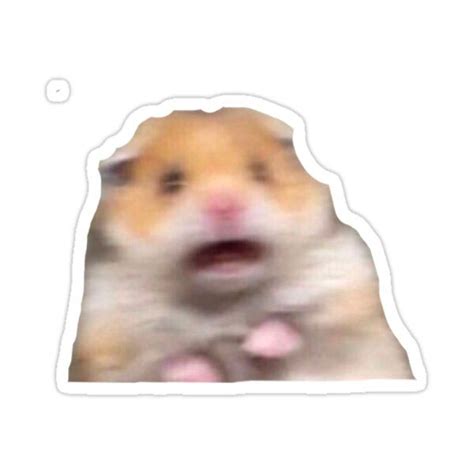 Hamster Meme Sticker By Dtscott19 Meme Stickers Skateboard
