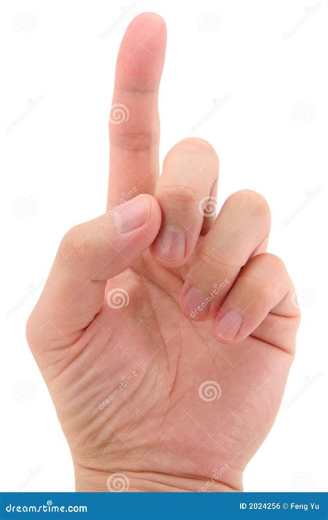 Index Finger Pointing Up Stock Photo Image Of Finger 2024256