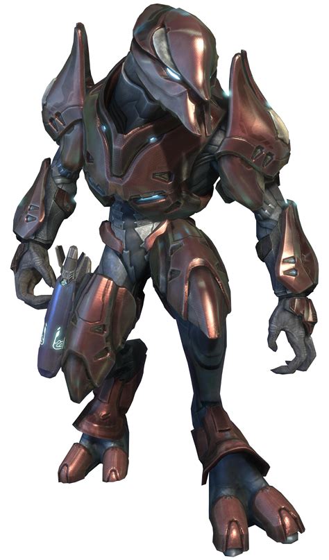 Special Operations Sangheili Halo Nation — The Halo Encyclopedia
