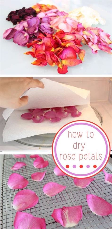 10 Beautiful Diy Ways To Use Rose Petals