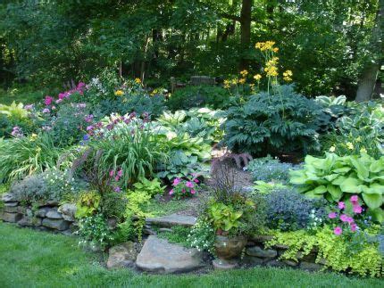 The garden plan for this design includes an illustrated version of the planted garden, a detailed layout diagram, a list of plants for the garden as shown, and complete instructions for installing the garden. shady perennials | Shade plants, Shade garden, Shade ...