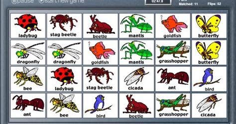 El BaÚl De Innela Aprendemos Nombres De Insectos En Inglés