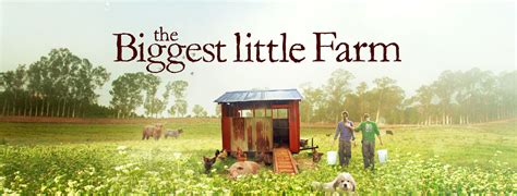 The show had a number of celebrities appear on it during its two series run on five between 2004 and 2005. The Biggest Little Farm Offers the World a New View
